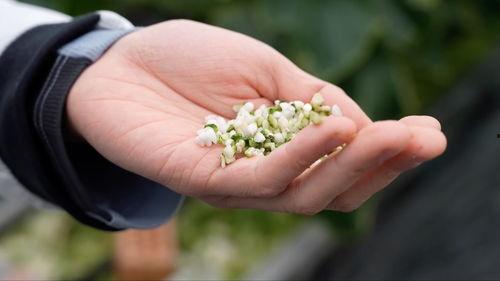 亚洲 国产 熟,国产熟食的崛起与传承